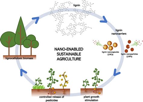 Advanced applications of green materials in agriculture.